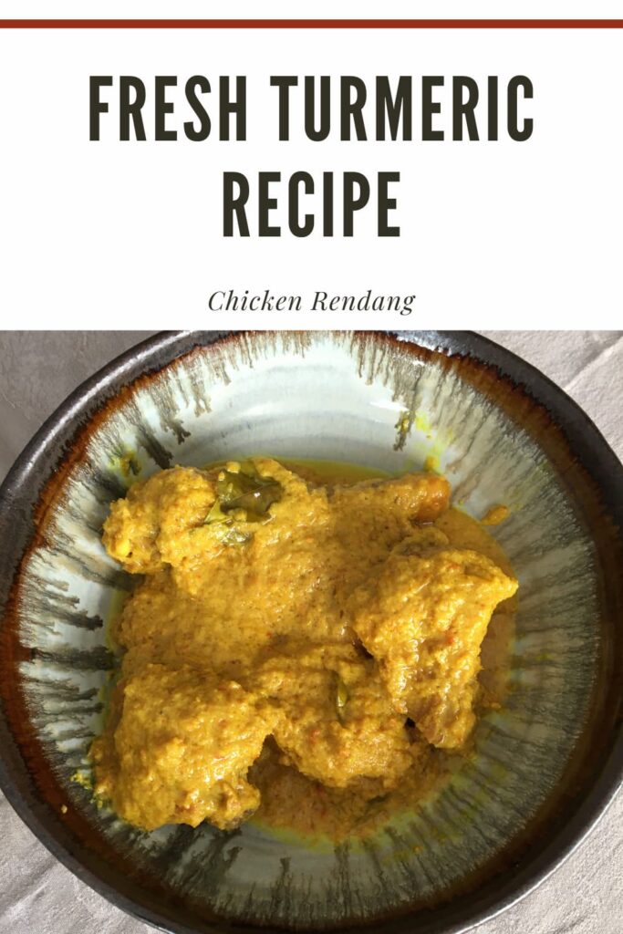 chicken and rendang paste